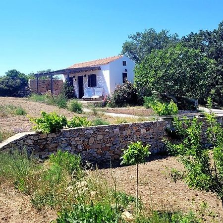 The Pigeon House Vila Potamos  Exterior foto