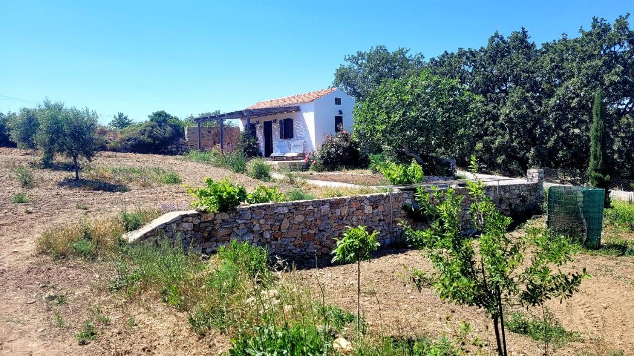 The Pigeon House Vila Potamos  Exterior foto